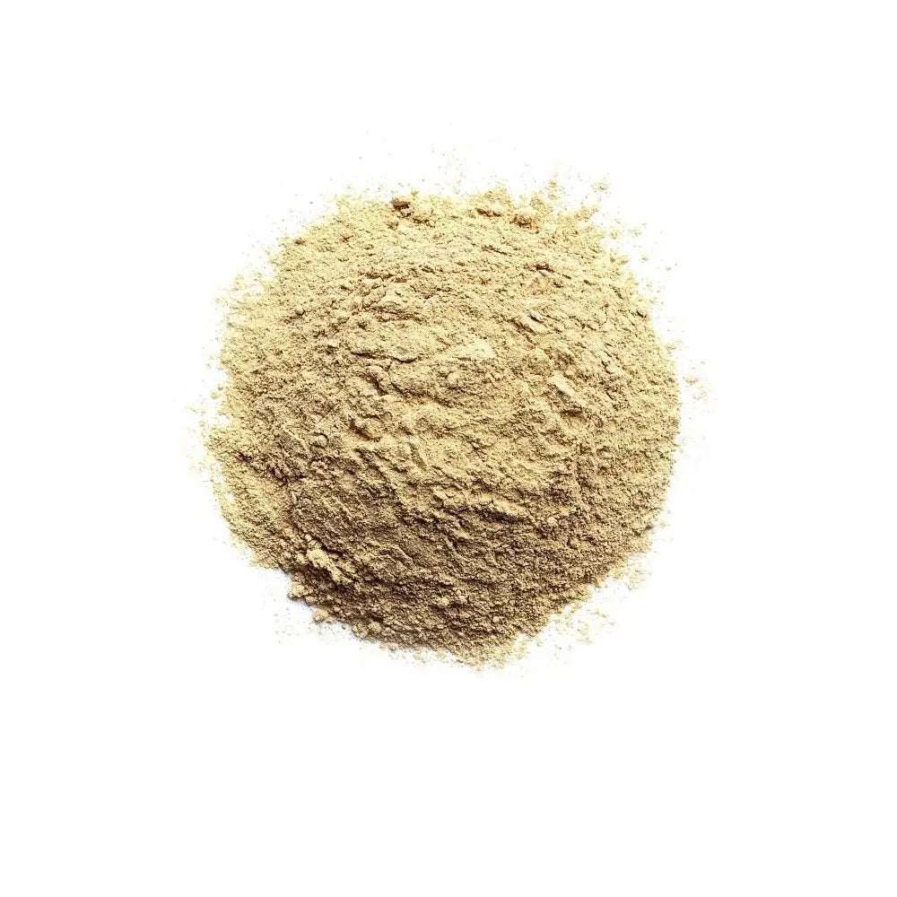 Lions Mane Pulver - Ekologisk (Hericium erinaceus) 200g